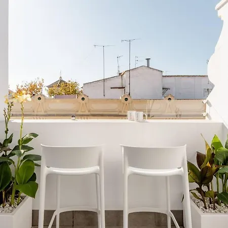 Apartamento Atico C/ Adriano_catedral.